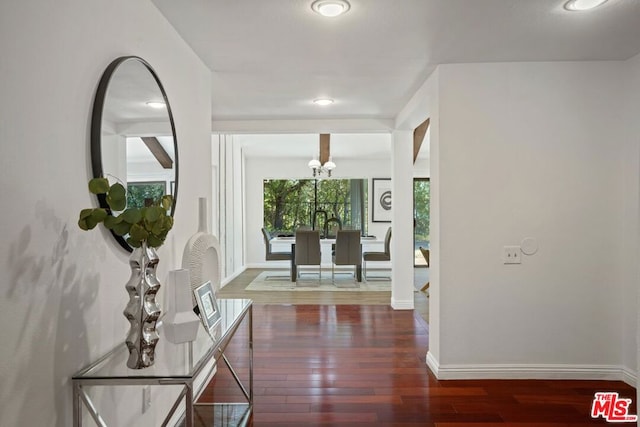 corridor featuring dark hardwood / wood-style flooring