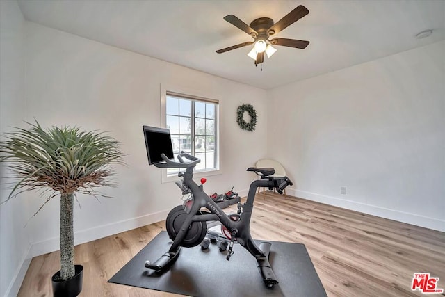 exercise area featuring ceiling fan and light hardwood / wood-style floors