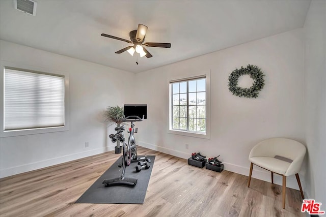 workout room featuring ceiling fan and light hardwood / wood-style floors