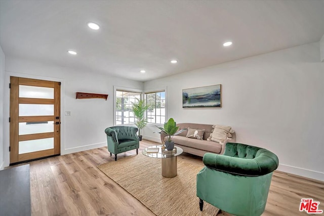 living room featuring light hardwood / wood-style flooring