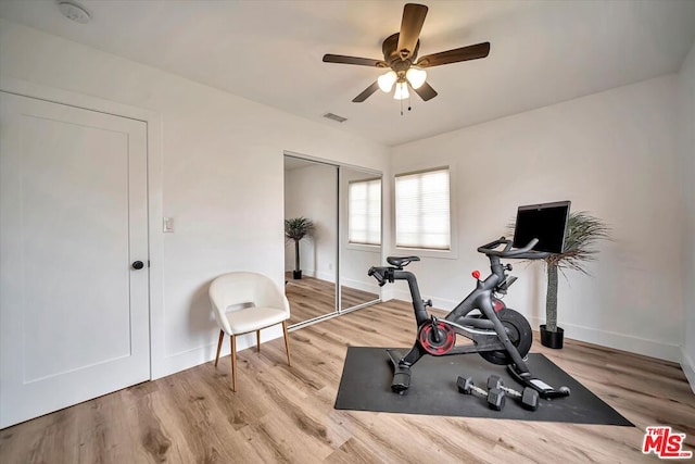 exercise room with ceiling fan and light hardwood / wood-style flooring