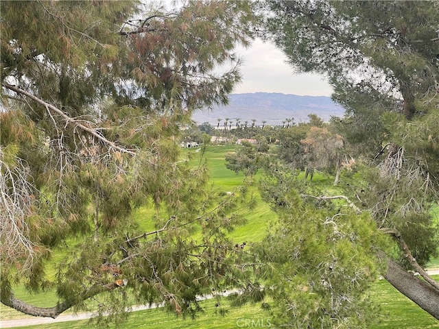 view of local wilderness with a mountain view