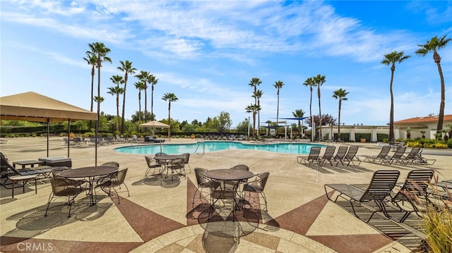 view of swimming pool featuring a patio