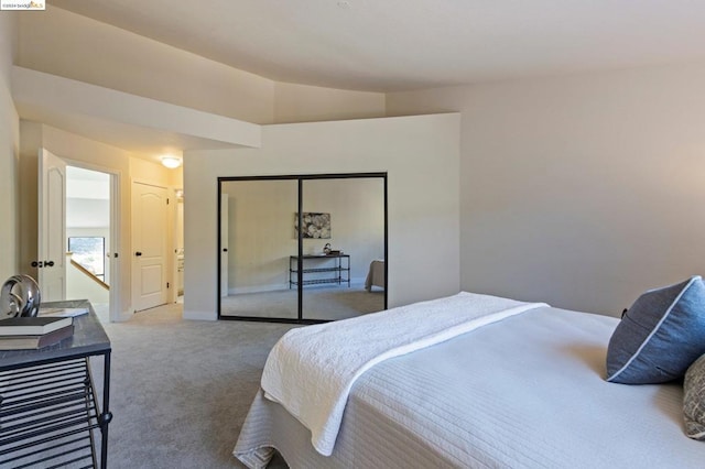 bedroom featuring carpet and a closet