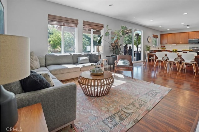 living room featuring dark hardwood / wood-style flooring