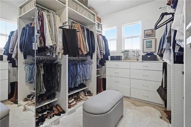 walk in closet with light carpet