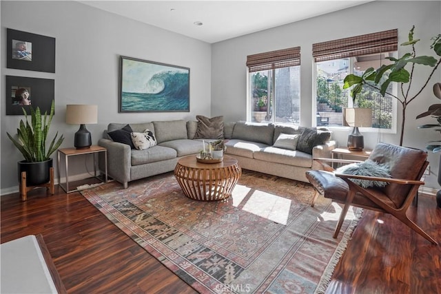 living room featuring dark wood-type flooring