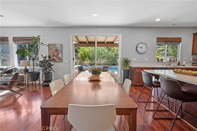 dining space featuring dark hardwood / wood-style flooring and sink