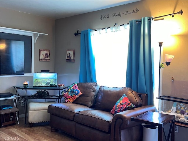 living room featuring hardwood / wood-style floors