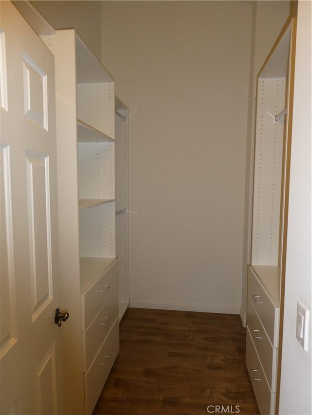 spacious closet featuring dark hardwood / wood-style flooring