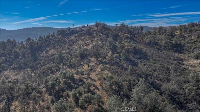 3896B State Highway 140, Catheys Valley CA, 95306 land for sale