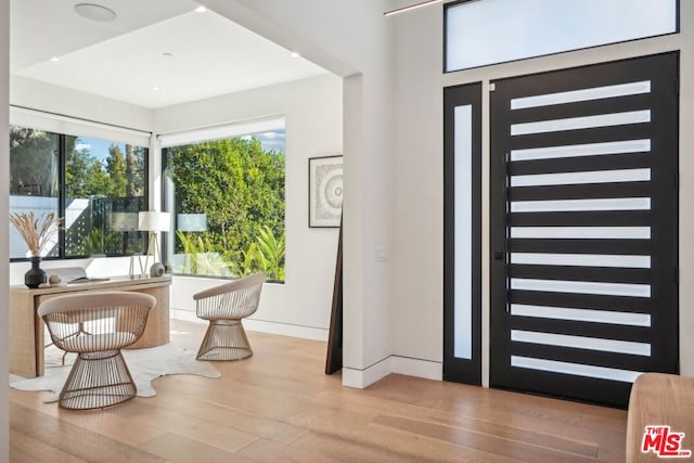 entrance foyer featuring a healthy amount of sunlight and light hardwood / wood-style flooring