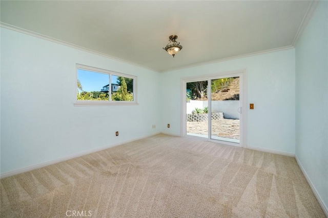 unfurnished room with carpet floors and ornamental molding