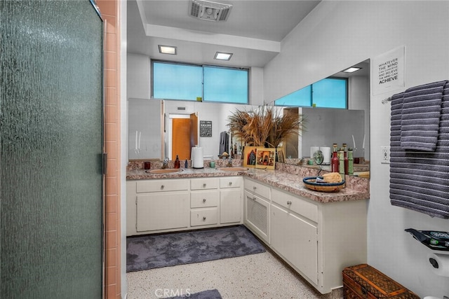 bathroom featuring vanity and a shower with shower door