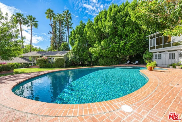 view of pool with a patio