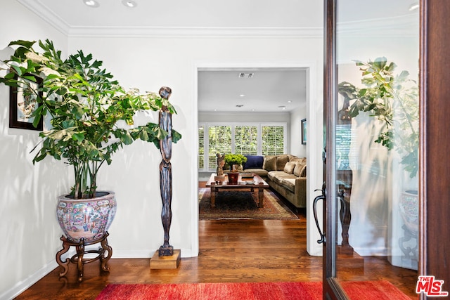 hallway featuring crown molding and dark hardwood / wood-style floors