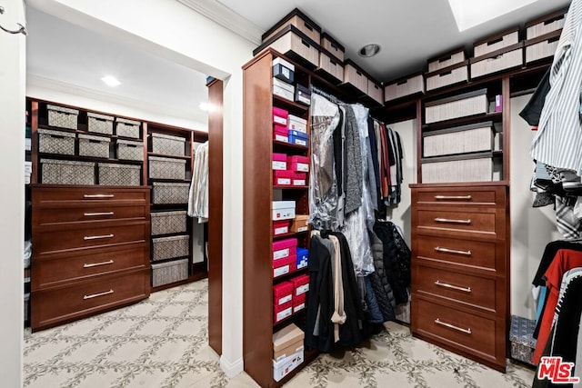 view of walk in closet