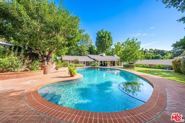 view of pool with a patio area