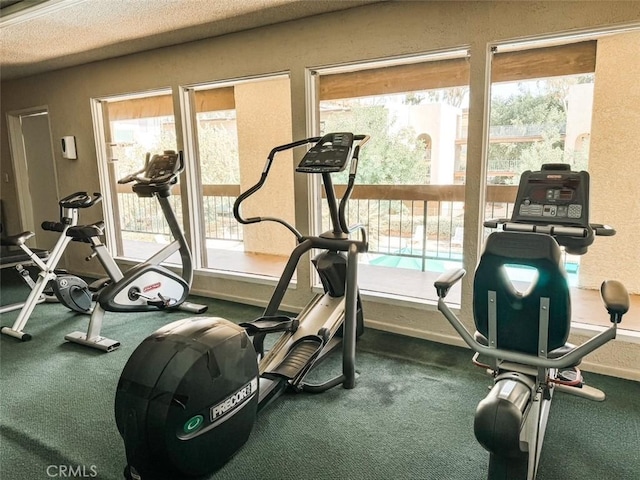 workout area featuring a textured ceiling and a wealth of natural light