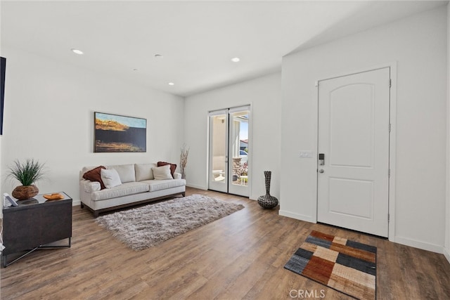 living room featuring hardwood / wood-style floors