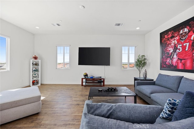 living room with hardwood / wood-style flooring and a wealth of natural light