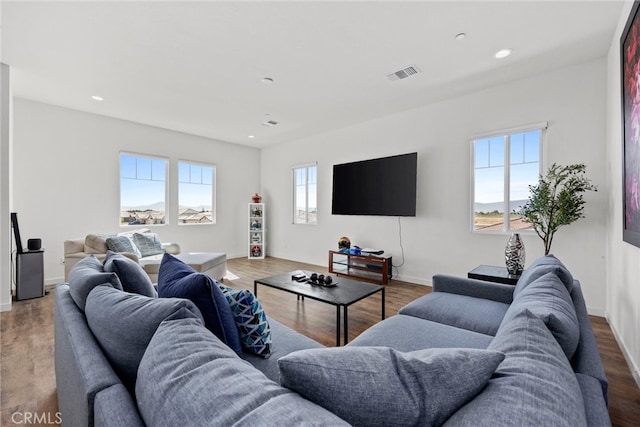 living room featuring a healthy amount of sunlight and hardwood / wood-style floors