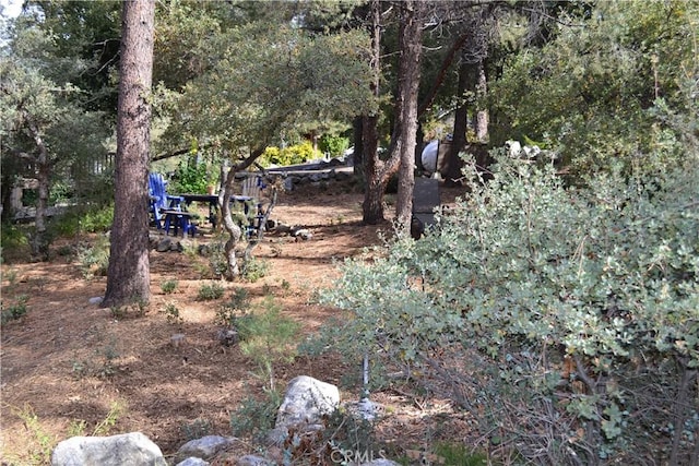 2204 Birchwood Way, Pine Mountain Club, CA 93222 - view of yard