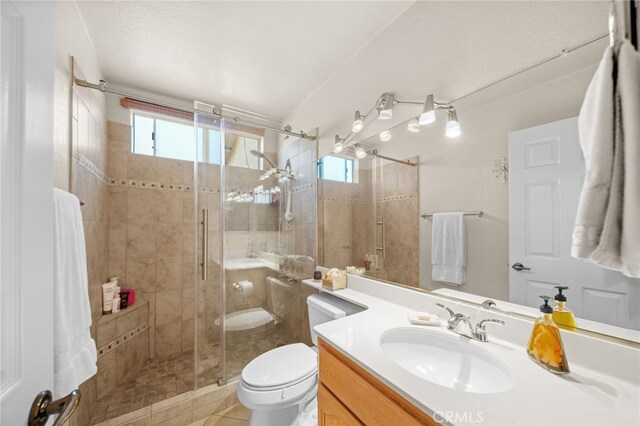 bathroom with toilet, vanity, a wealth of natural light, and a shower with shower door