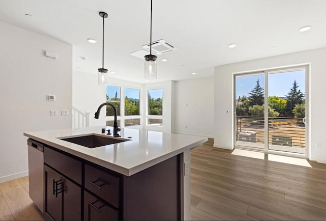 kitchen featuring sink, wood-type flooring, plenty of natural light, and an island with sink