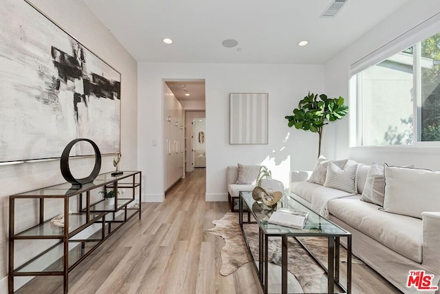 living room featuring light hardwood / wood-style flooring