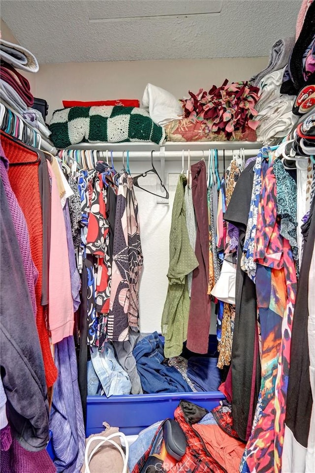 view of walk in closet