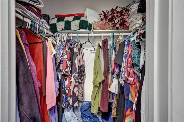 view of spacious closet
