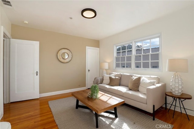 living room featuring wood-type flooring