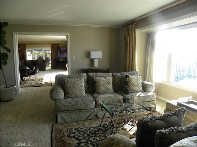 carpeted living room with crown molding