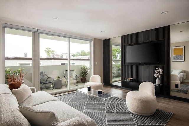 living room featuring dark wood-type flooring