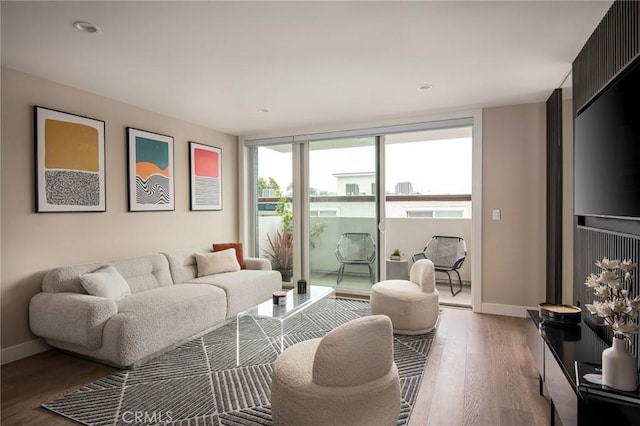 living room with hardwood / wood-style flooring