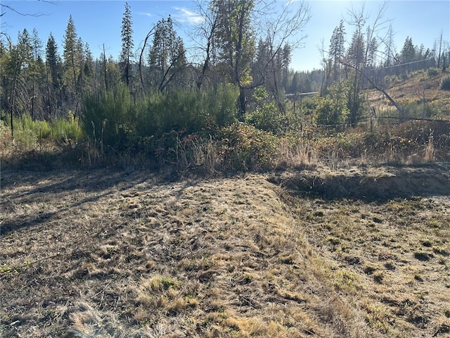 80 Meadow Ln, Berry Creek, CA 95916 - photo 3