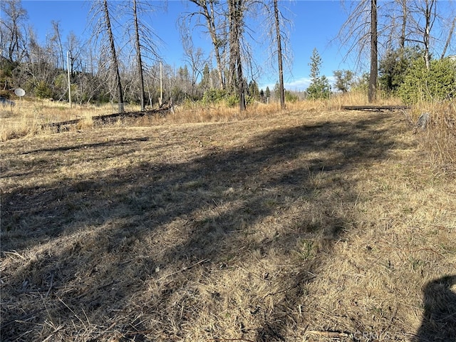 80 Meadow Ln, Berry Creek, CA 95916 - photo 2