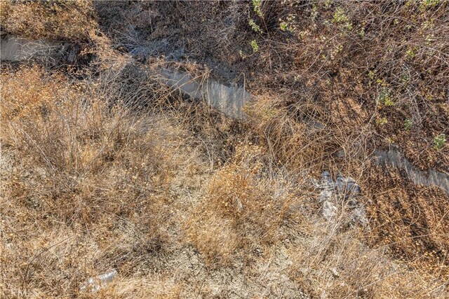 1 Warmuth Cyn, Country, CA 91387 - photo 13
