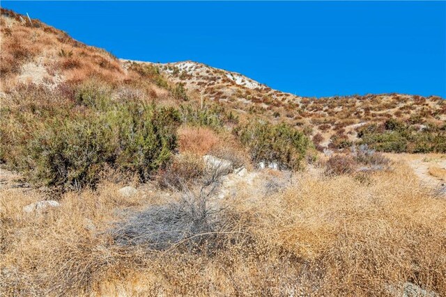 1 Warmuth Cyn, Country, CA 91387 - photo 15