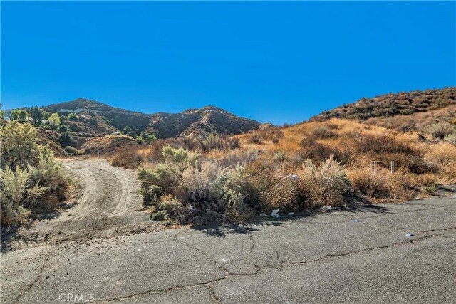 1 Warmuth Cyn, Country, CA 91387 - photo 9
