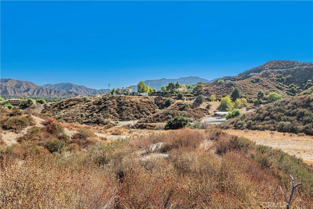 1 Warmuth Cyn, Country, CA 91387 - photo 29