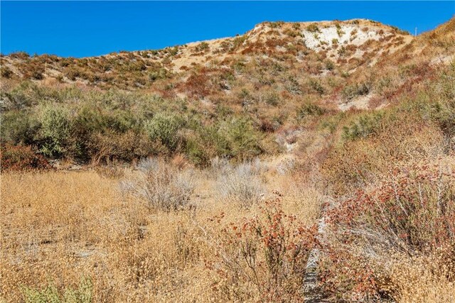 1 Warmuth Cyn, Country, CA 91387 - photo 20
