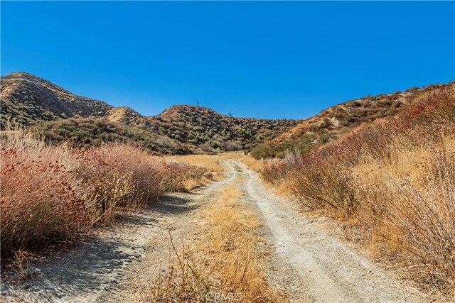 1 Warmuth Cyn, Country, CA 91387 - photo 19