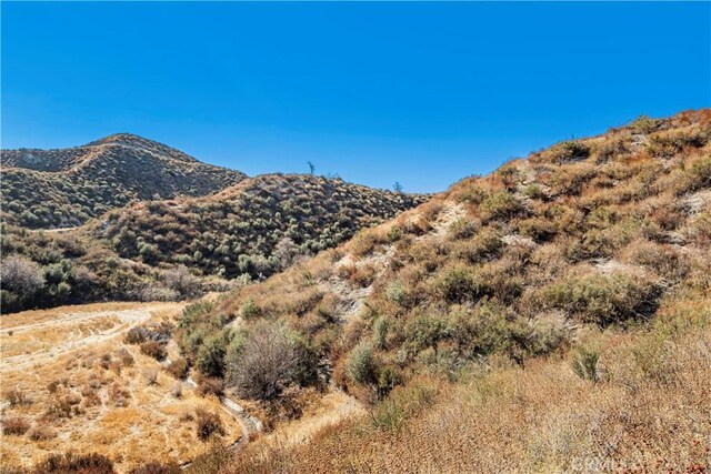 1 Warmuth Cyn, Country, CA 91387 - photo 30