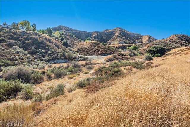 1 Warmuth Cyn, Country, CA 91387 - photo 31