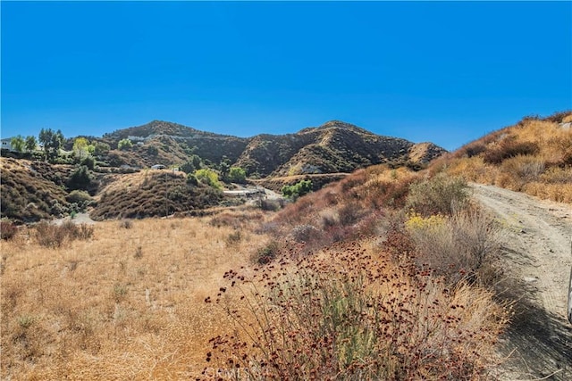 1 Warmuth Cyn, Country, CA 91387 - photo 28