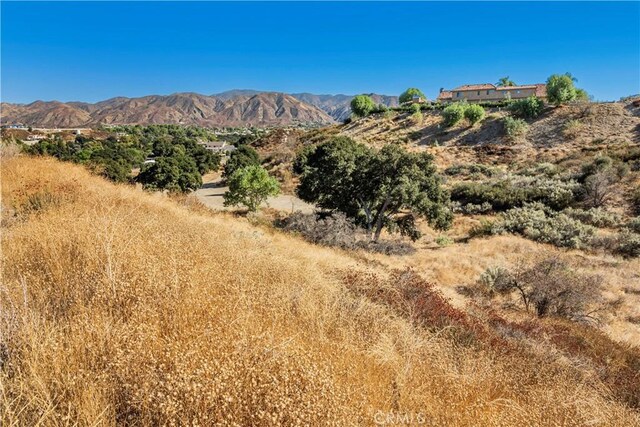 1 Warmuth Cyn, Country, CA 91387 - photo 32