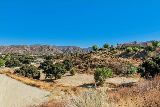 1 Warmuth Cyn, Country, CA 91387 - photo 8