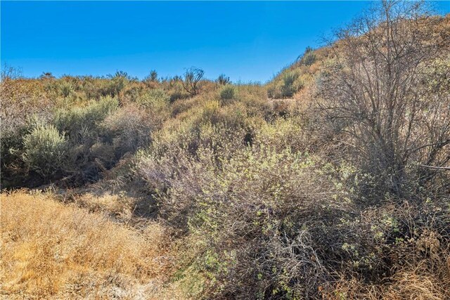 1 Warmuth Cyn, Country, CA 91387 - photo 12